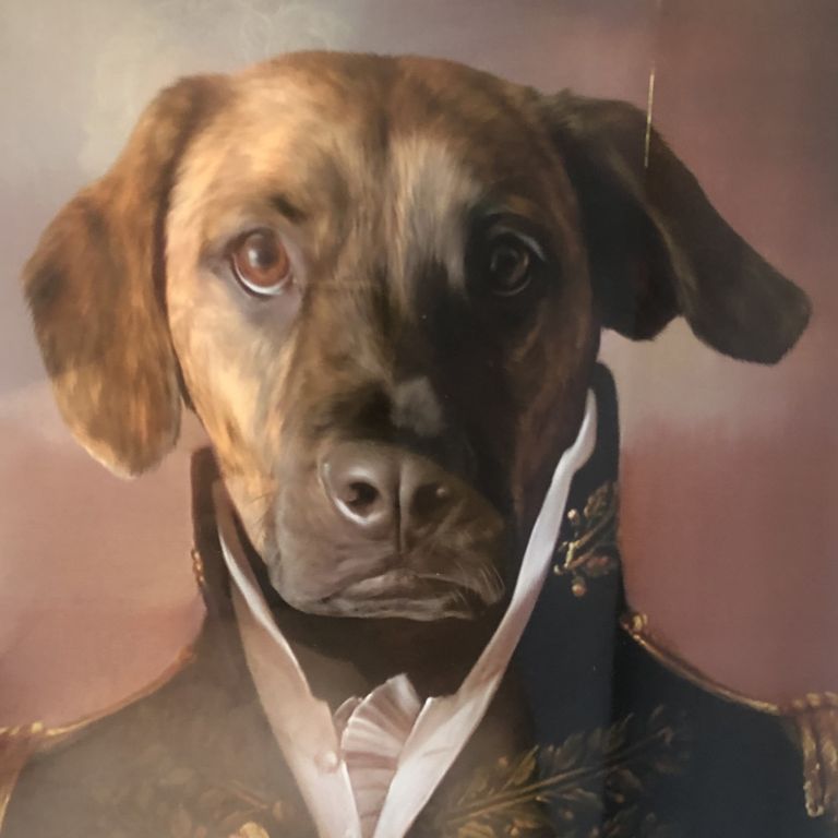 Ranch Dog General Itch